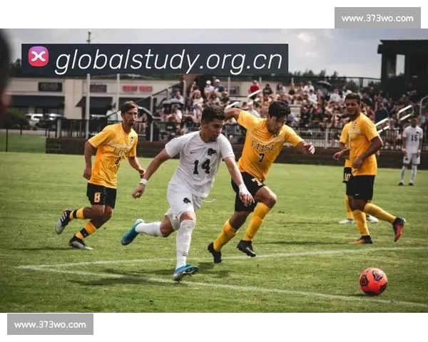 中国体育官网入口全新上线提供便捷服务让您轻松畅享体育赛事精彩直播 中国体育官网入口全新上线提供便捷服务让您轻松畅享体育赛事精彩直播