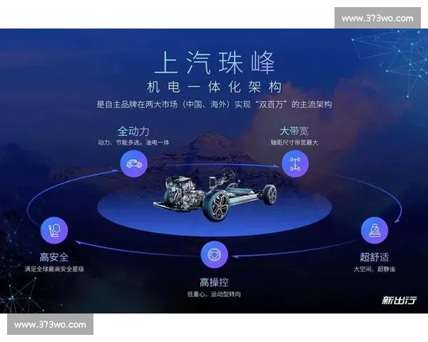 体育官网平台全面解析与最新功能深度体验指南