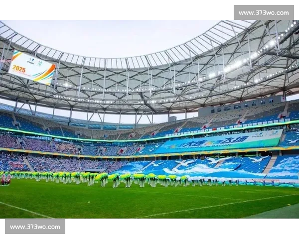 世界杯盛宴聚焦全球目光足球盛会背后的历史文化与未来发展探讨